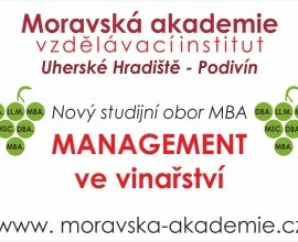 Studium MBA, LL.M., DBA, MSc ... a jiné Moravská akademie